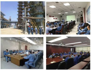 流程工業(yè)全周期能量優(yōu)化技術服務 關鍵技術開發(fā)與應用