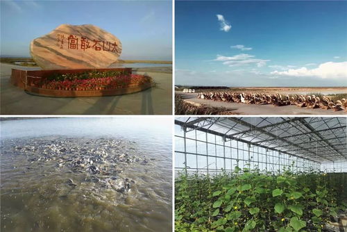 過節出游必看,九原區這4項冬季旅游節慶活動 3條冬季旅游精品線讓你嗨翻天